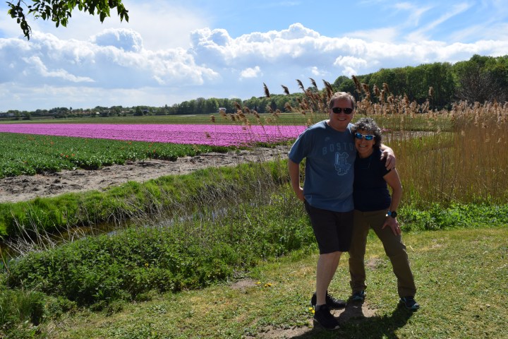 Two people standing next to tulip fields