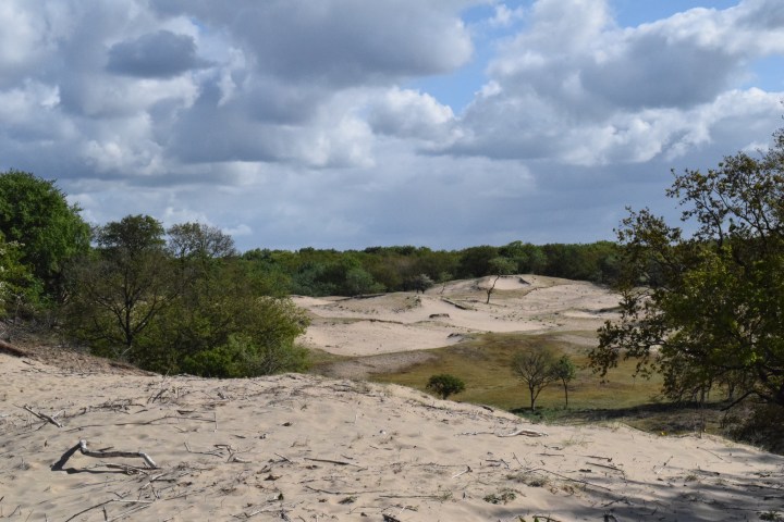 Picture of dunes