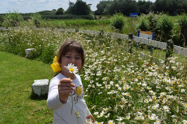 A girl holding a flower in her hand